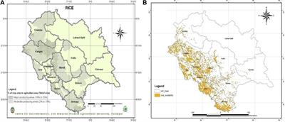 Rice Productivity, Zn Biofortification, and Nutrient-Use Efficiency as Influenced by Zn Fertilization Under Conventional Transplanted Rice and the System of Rice Intensification